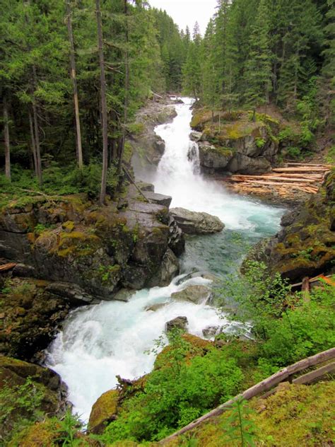 Hike The Silver Falls Loop Visit Rainier