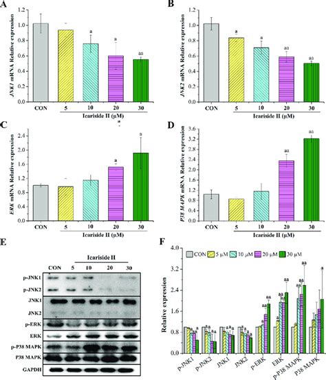 Icariside Ii Only Inhibited Jnk In Mapk Signaling Pathway In Vitro