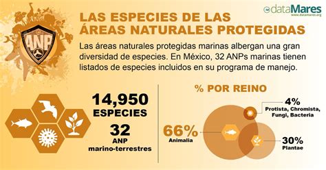 Datamares On Twitter En Los Planes De Manejo De Las Anp Marinas En