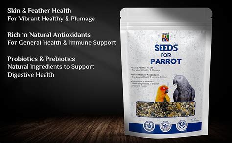 CONGO NATURAL PARROT TREAT Seeds For Parrot Healthy And Nutritional