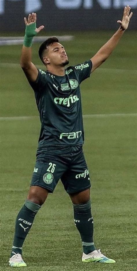 Pin De Sergio Em Palmeiras Fc Brasil Esportes Palmeiras