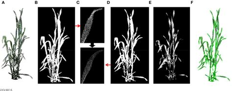 Figure From A Miniaturized Phenotyping Platform For Individual Plants