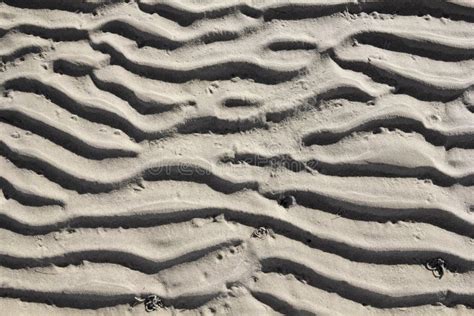 Estructura En La Arena Del Mar De Wadden Durante La Bajamar Foto De