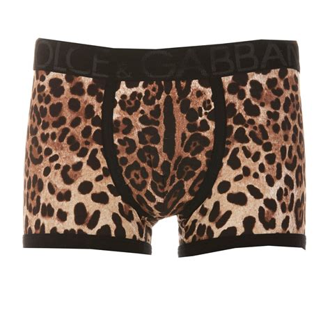 Dolce And Gabbana Leopard Print Boxers Neutrals Editorialist