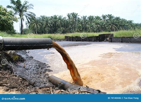 Palm Oil Mill Effluent Pome Wastewater Being Discharged Stock Photo