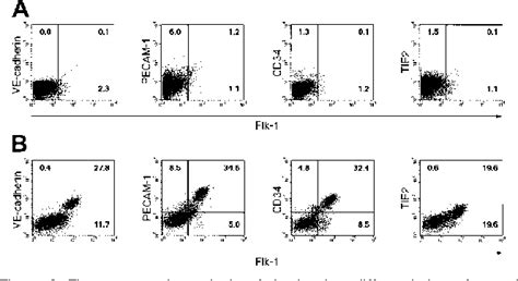 Figure 3 From A Chemically Defined Culture Of Vegfr2 Cells Derived