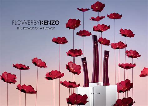 Kenzo Flower By Kenzo On Behance Poppy Flower Drawing Kenzo