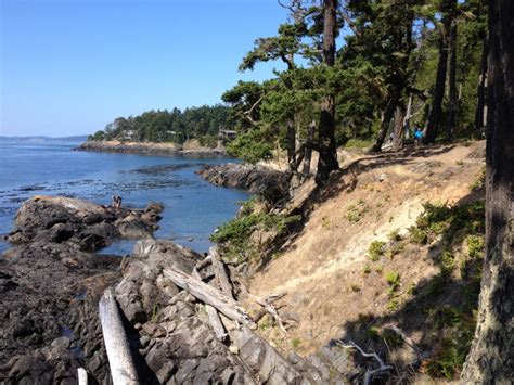 Shark Reef Lopez Island Chamber Of Commerce