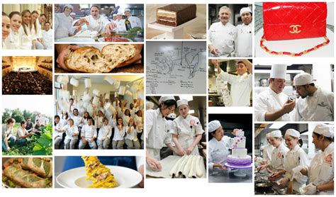Our 8 Best Culinary Arts Schools