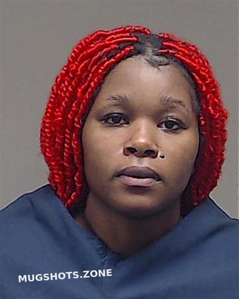 Eke Precious Chidera 11142023 Collin County Mugshots Zone