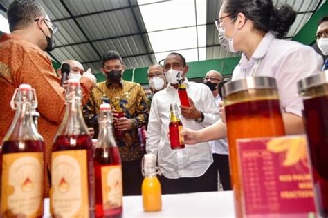 Kandungan Gizi Tinggi Minyak Makan Merah Siap Launching Tahun Depan