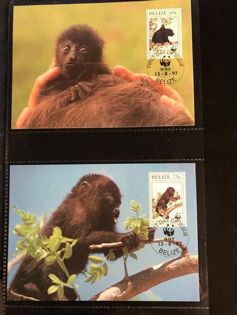 Belize 1997 WWF Satz Guatemala Brüllaffe Maximumkarten Kaufen auf Ricardo