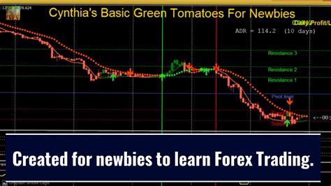 Forex Introduction Fast Scalping Forex Hedge Fund