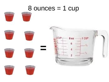 quarts  cups alohalader