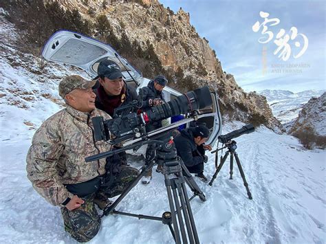 劳动报 历时六年打磨，中国摄影师揭开“雪山之王”真容！《雪豹和她的朋友们》8月4日亮相暑期档