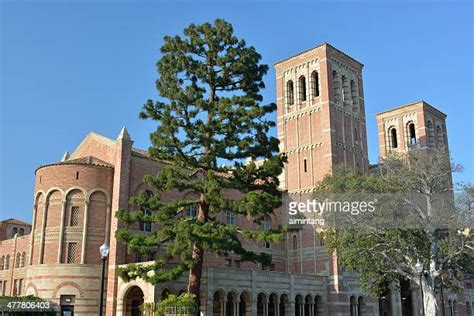 Uc Los Angeles Photos and Premium High Res Pictures - Getty Images