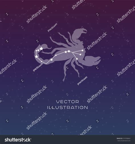 animal sign for scorpio 3