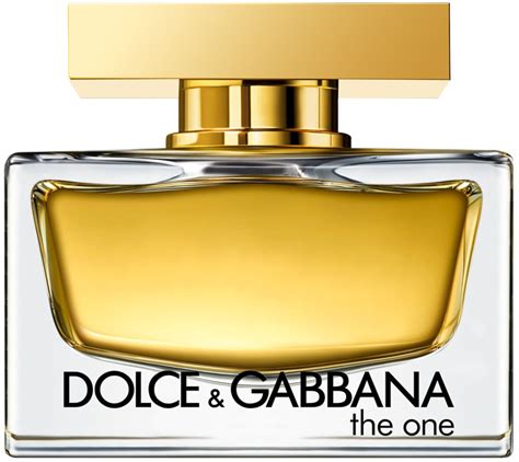 Buy D G The One Eau De Parfum 50ml From 48 76 Today Best Deals