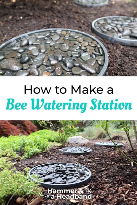 How To Make A Modern Bee Bath In Buzzworthy Style Bee Friendly Garden