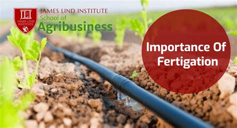 Importance of Fertigation | JLI Blog