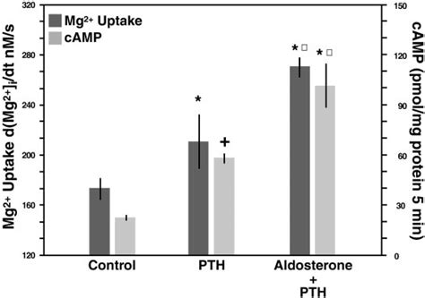 Aldosterone Potentiates Hormone Stimulated Intracellular Camp Formation