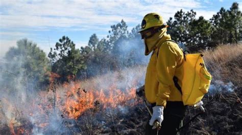 Conafor Reporta 40 Incendios Forestales En El País Proceso