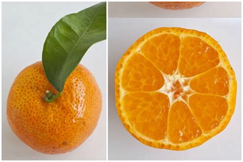 Chinese New Year Mandarin Oranges 11 Different Types Of Mandarin