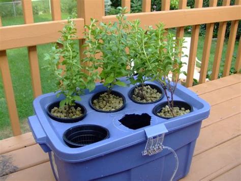 Start a Hydroponic Garden: Tips for Beginners