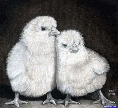 Cute animal drawings realistic information | Zoo Animals