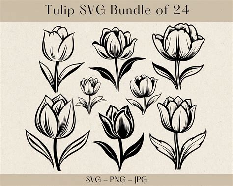 Tulip Svg Tulip Svg Bundle Tulip Silhouette Tulip Clipart Tulip Svg