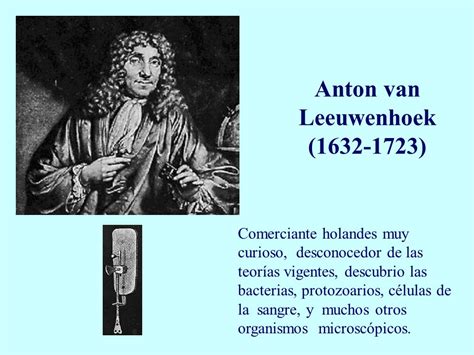 Anton Van Leeuwenhoek Aportaciones A La Biologia Celular Compartir Celular