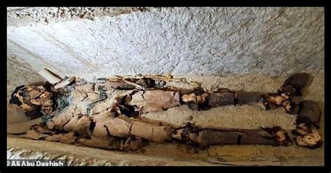 They Found WHAT in Egypt?! This "Most Complete" Mummy Could Rewrite ...