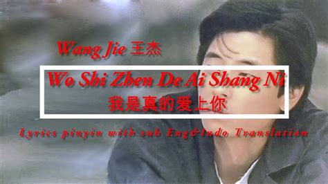 Wang Jie 王杰 Wo Shi Zhen De Ai Shang Ni 我是真的爱上你 Lyrics pinyin sub Eng