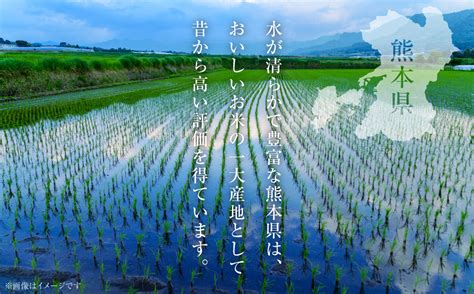 【先行予約】 【令和6年産】 ≪新米≫ 熊本県産 きぬひかり10kg （5kg×2袋） 【2024年9月上旬より順次発送】 ふるさと