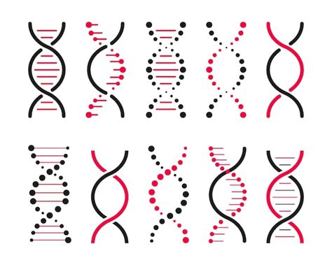 Premium Vector Set Of Dna Icons Life Gene Model Bio Code Genetics