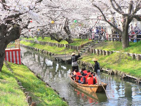 小江戸川越春の舟遊｜行事・イベント情報｜小江戸川越ウェブ 小江戸川越観光協会