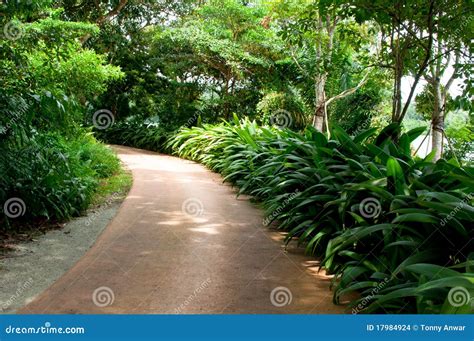 Nature s Walk stock photo. Image of wilderness, path - 17984924