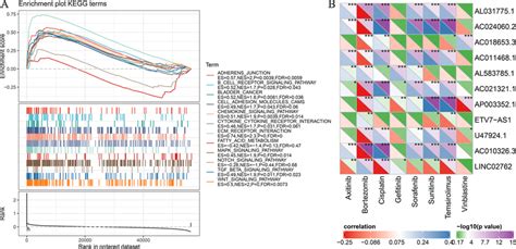 A Gene Enrichment Analysis For Ferroptosis Related Lncrnas Based On Download Scientific Diagram