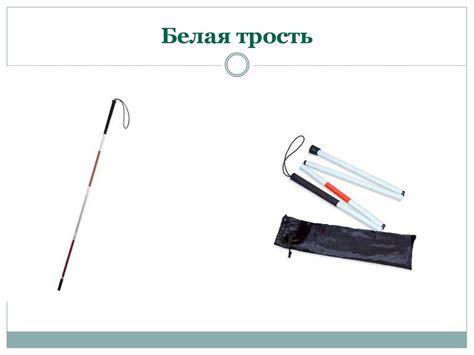 Особенности сопровождения слепых и слабовидящих детей в образовательных ...