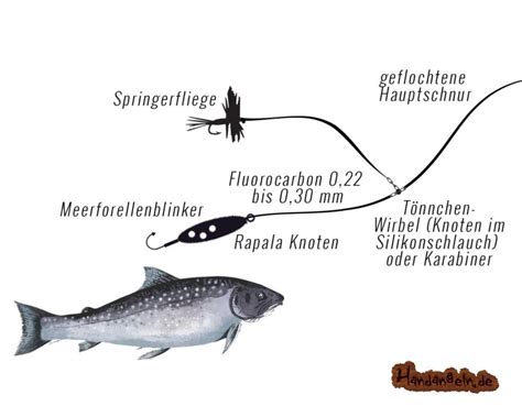 20 top Forellen Montagen für deinen nächsten Ansitz https handangeln de