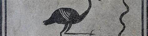 Black And White Roman Mosaic Showing Stork Imperium Romanum