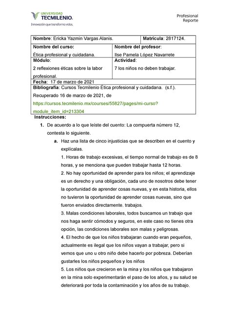 Actividad Tica Profesional Y Ciudadana Reporte Nombre Ericka