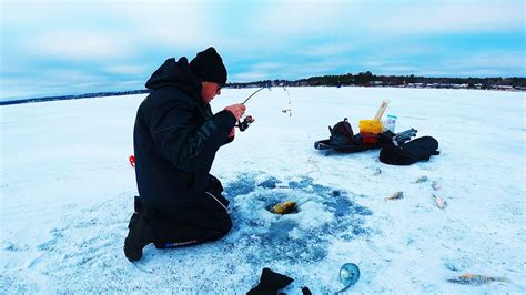 Ice Fishing Aggressive JUMBO Perch And Walleye Insane Bite YouTube