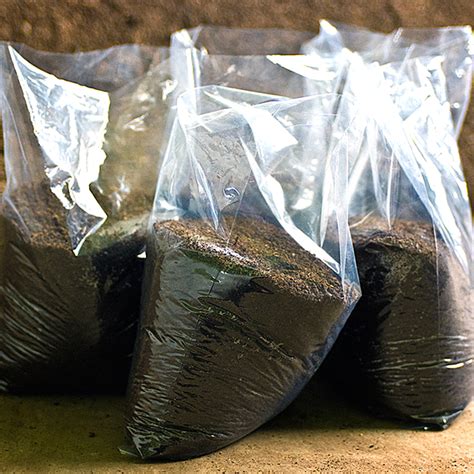 Offer Campuran Tanah Hitam Vermicast Soil Mix With Vermicast Tanah