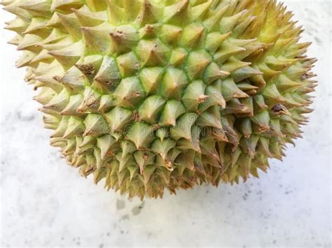 Yellow Durian In Side Mon Thong Durian Fruit Stock Photo Image Of