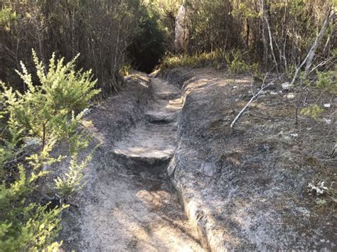 Wineglass Bay And Hazards Beach Circuit Walking Maps