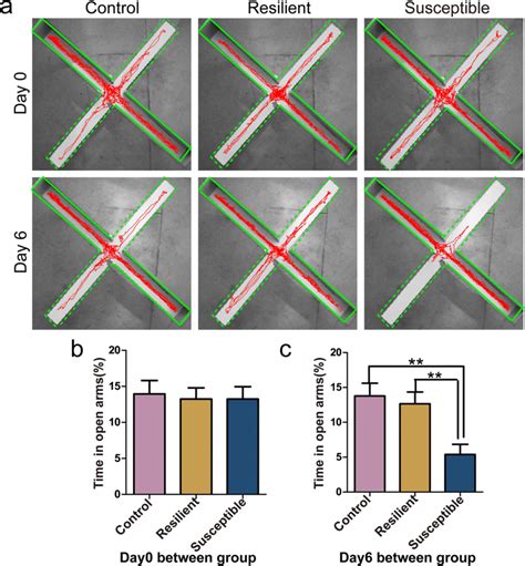 Test Results Of The EPM Of Mice After Psychological Stress Treatment