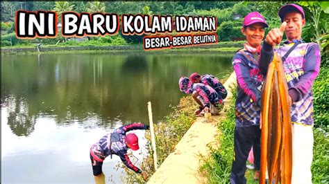 Mancing Belut Di Kolam Idaman Belutnya Besar Besar Ini Baru Strek Nya