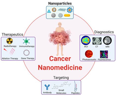 Nanomaterials Free Full Text Understanding Nanoparticle Toxicity To Direct A Safe By Design