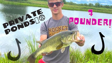 Bass Fishing Private Ponds YouTube